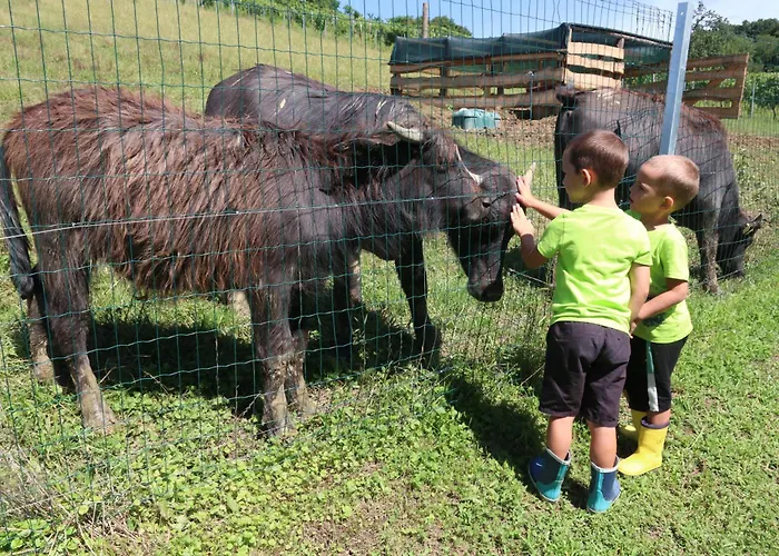 Tamaskut * レンダヴァ